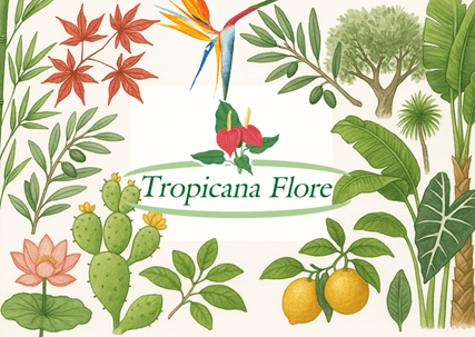 blue zone Tropicana Flore