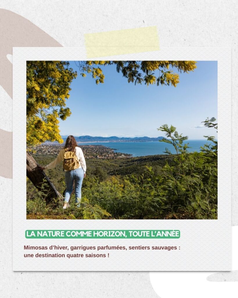 Tropicana Lodge Clef Verte 2026 et Roquebrune sur Argens destination 4 saisons, les mimosas au Vallon de la gaillarde