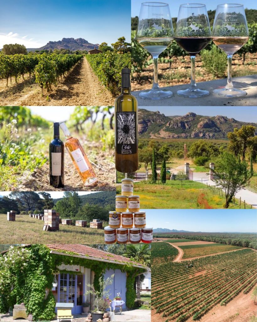 Que faire à Roquebrune-sur-Argens ? Domaines viticoles et ruchers