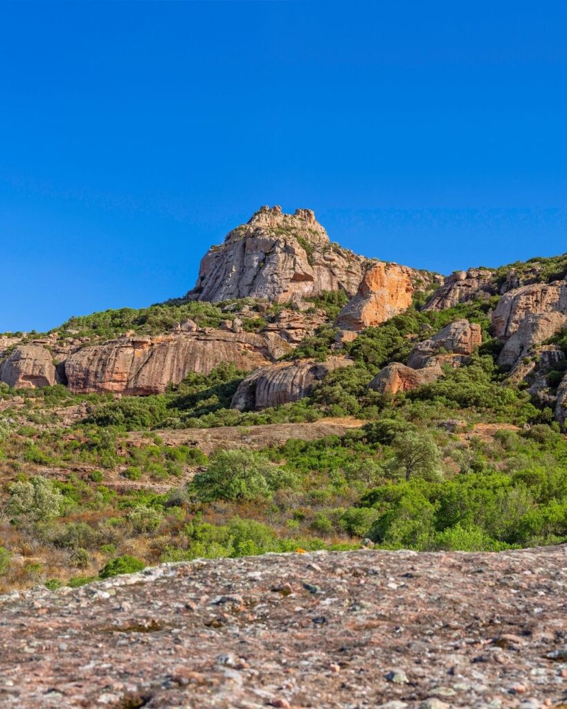 Que faire à Roquebrune sur Argens ?