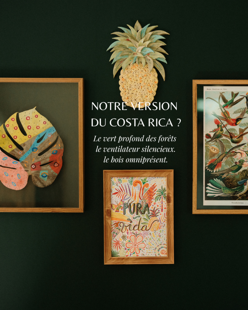 Decoration chambre Costa Rica Décoration chambre Costa Rica : mur vert forêt profond