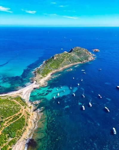 Les 3 caps Saint Tropez Bateaux verts Tropicana Lodge Les 3 caps Saint Tropez Bateaux verts Tropicana Lodge