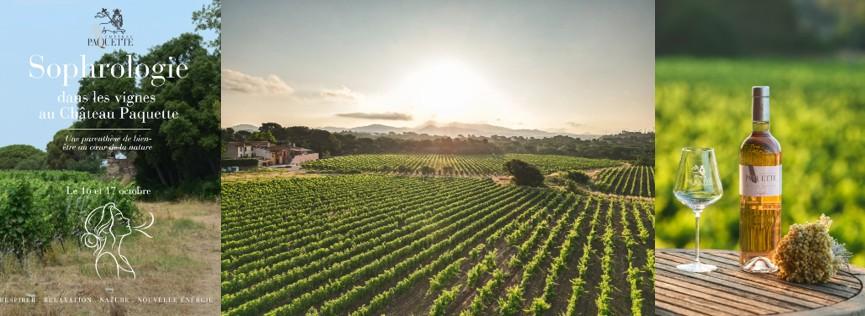 Vignobles en scène 2026 Sophrologie Vin Paquette Fréjus