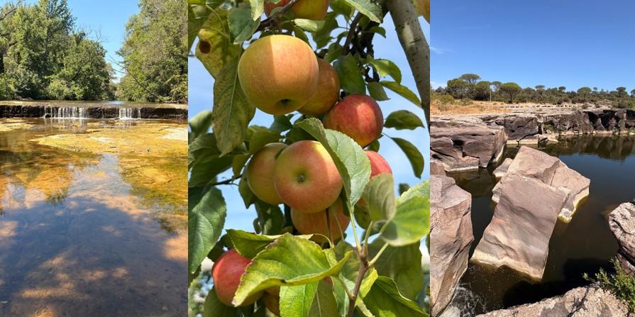 Vidauban cascades de l'Aille et les pommes d'Astros